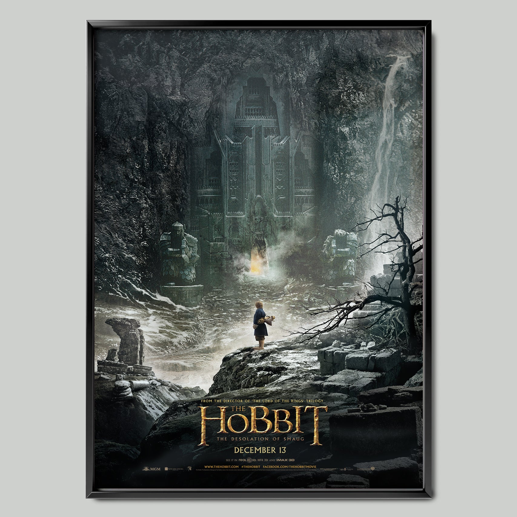 The Hobbit: The Desolation of Smaug (2013)