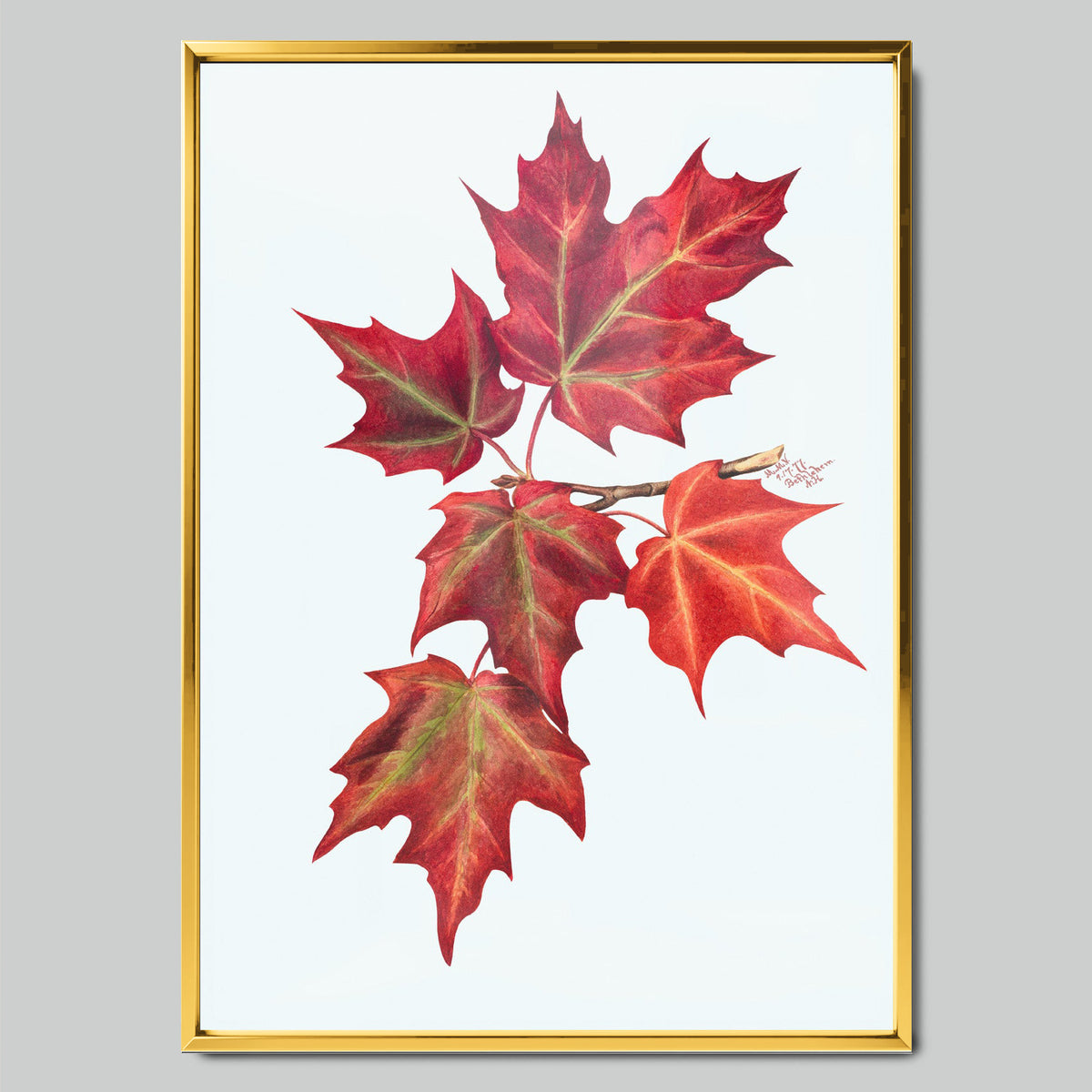 Autumn Maple Leaves арт постер със златиста рамка
