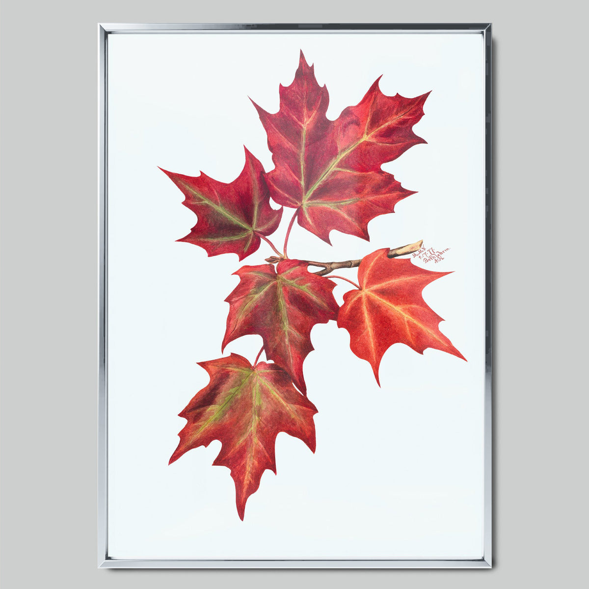 Autumn Maple Leaves арт постер със сребриста рамка