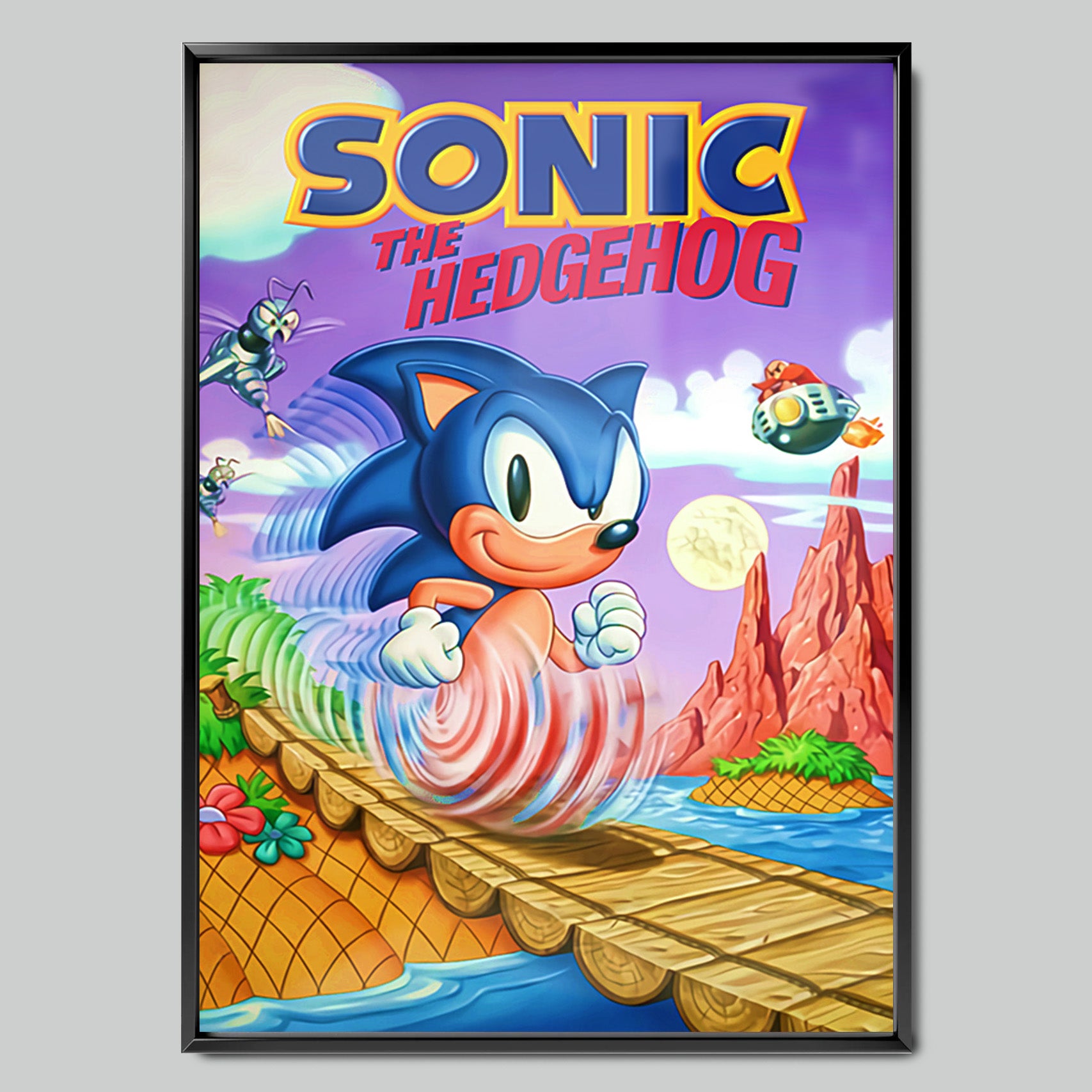 Sonic the Hedgehog