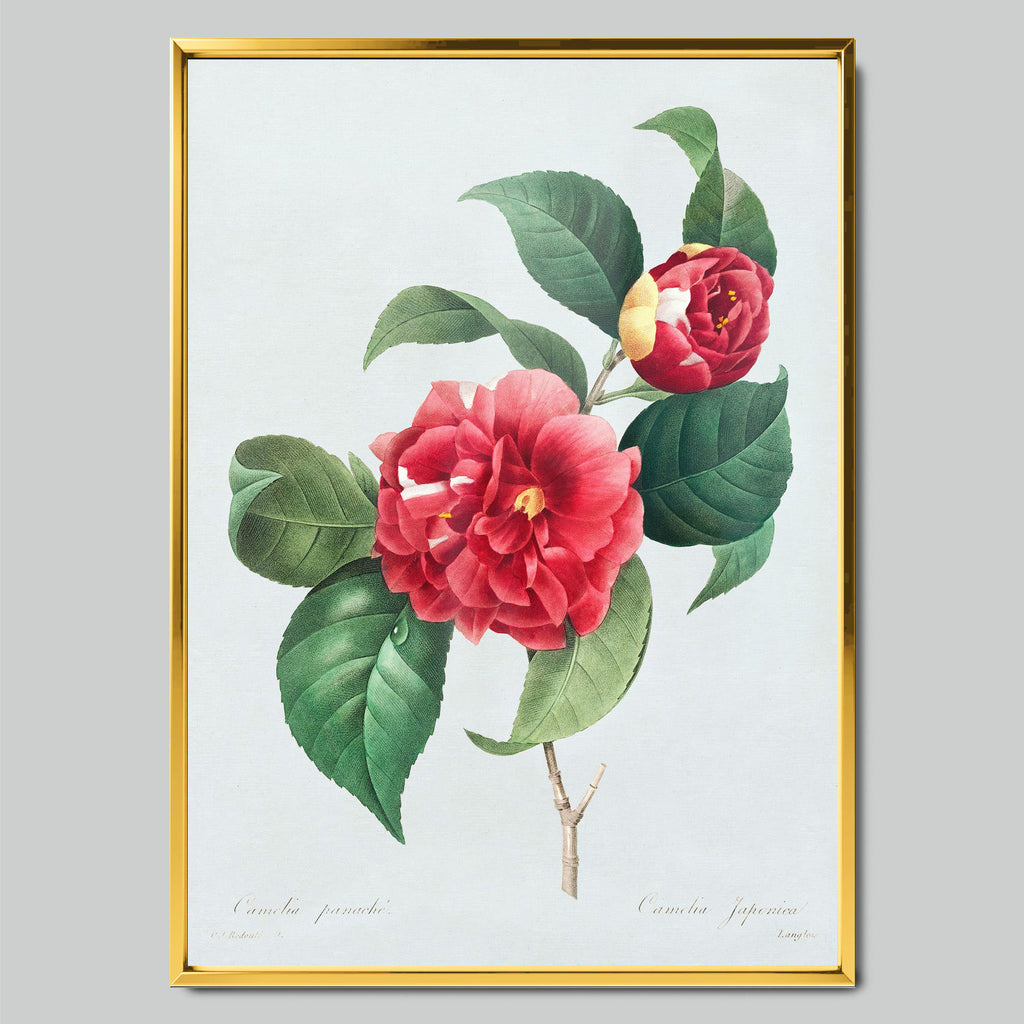 Blooming Camellia Branch арт постер със златиста рамка