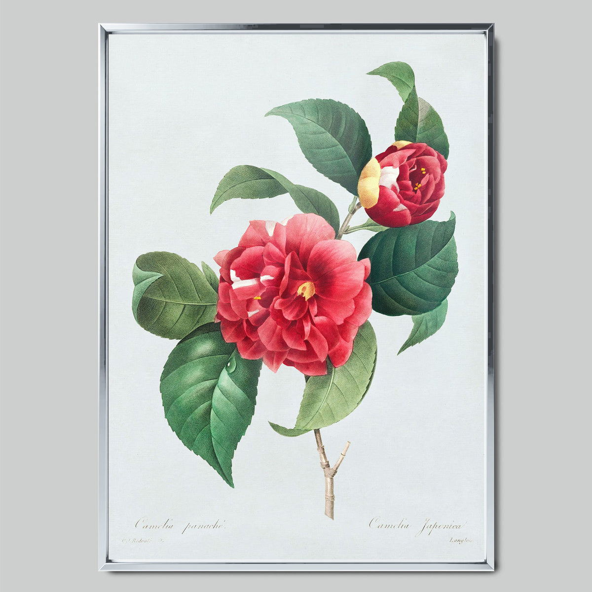 Blooming Camellia Branch арт постер със сребриста рамка