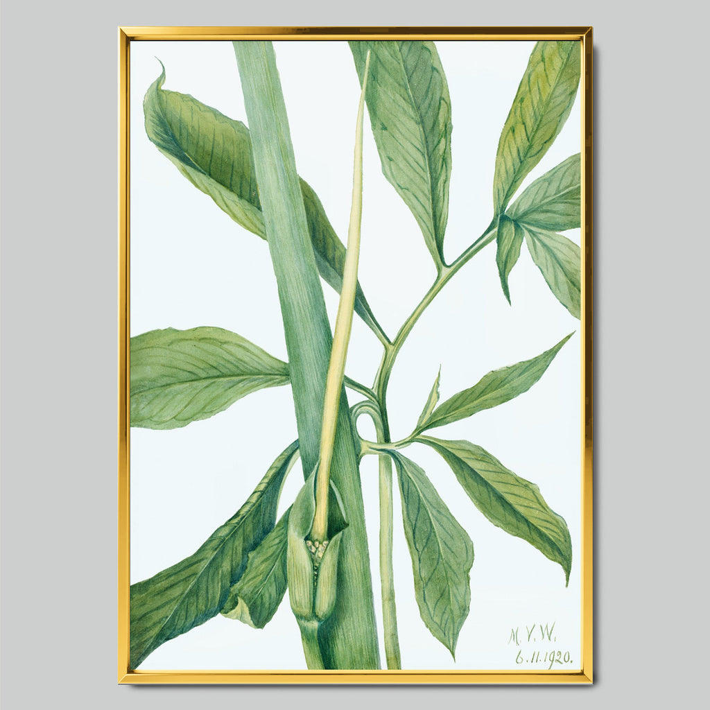 Botanical Sketch of Green Leaves арт постер със златиста рамка