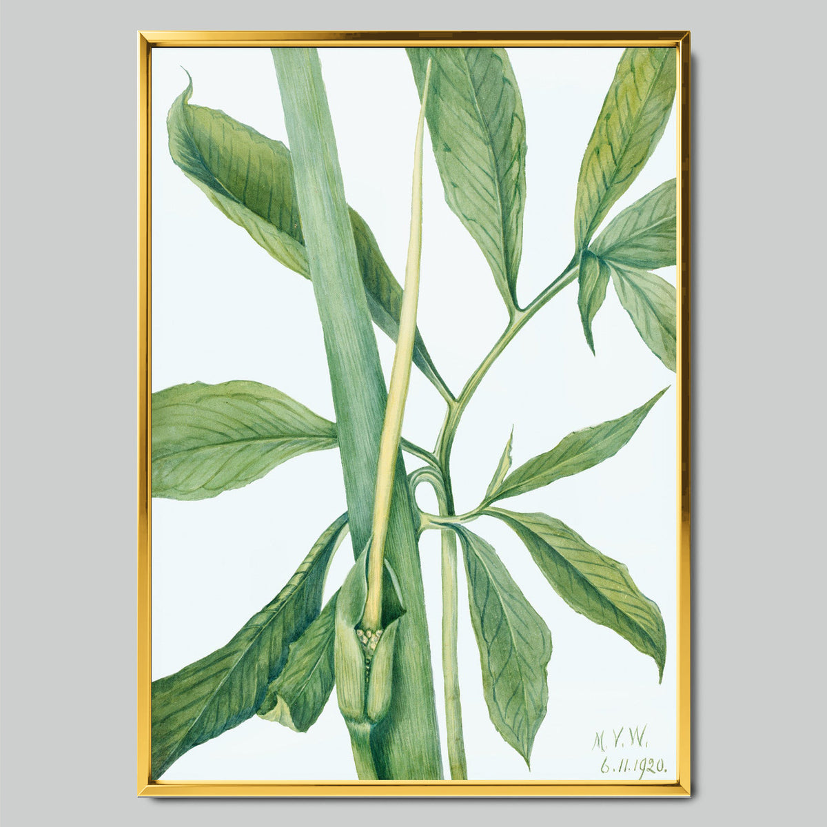 Botanical Sketch of Green Leaves арт постер със златиста рамка