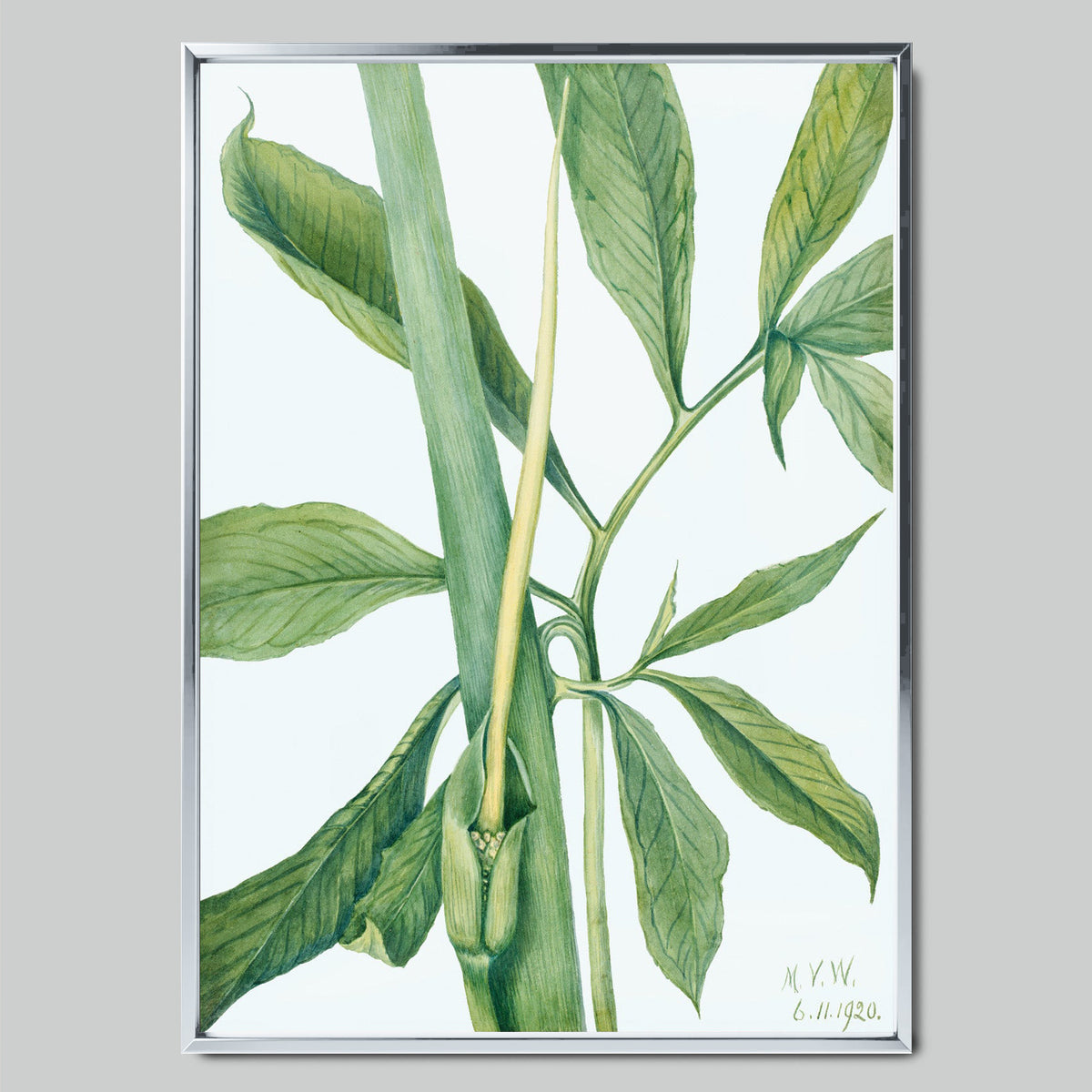 Botanical Sketch of Green Leaves арт постер със сребриста рамка