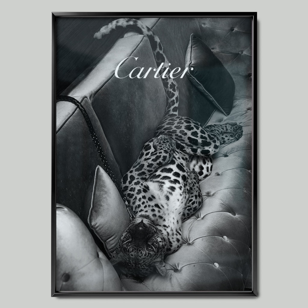 The Cartier Cat