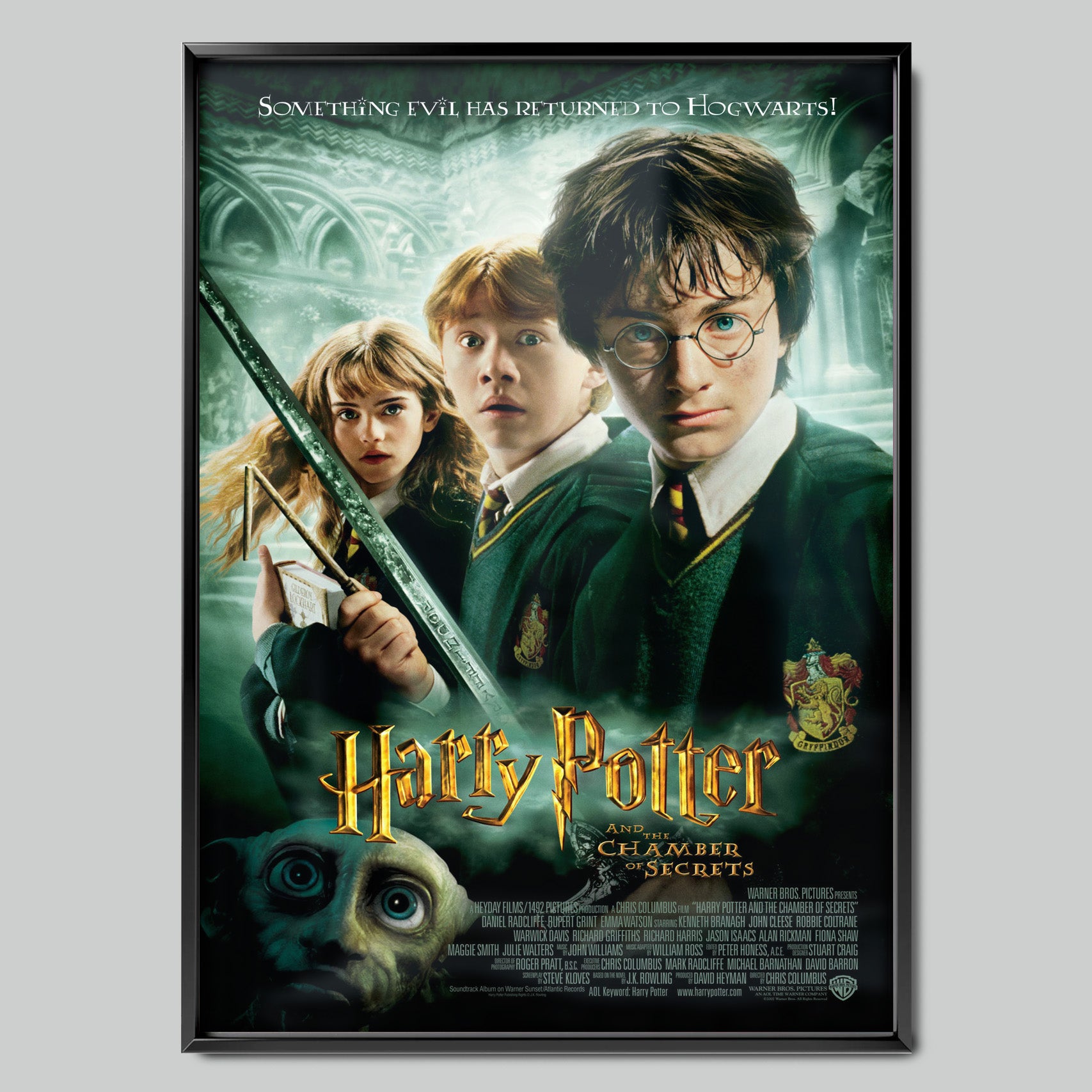 Harry Potter and the Chamber of Secrets