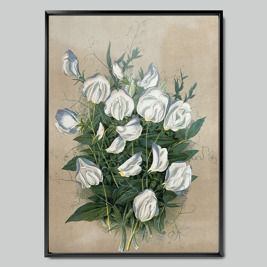Watercolor Bouquet of White Flowers
