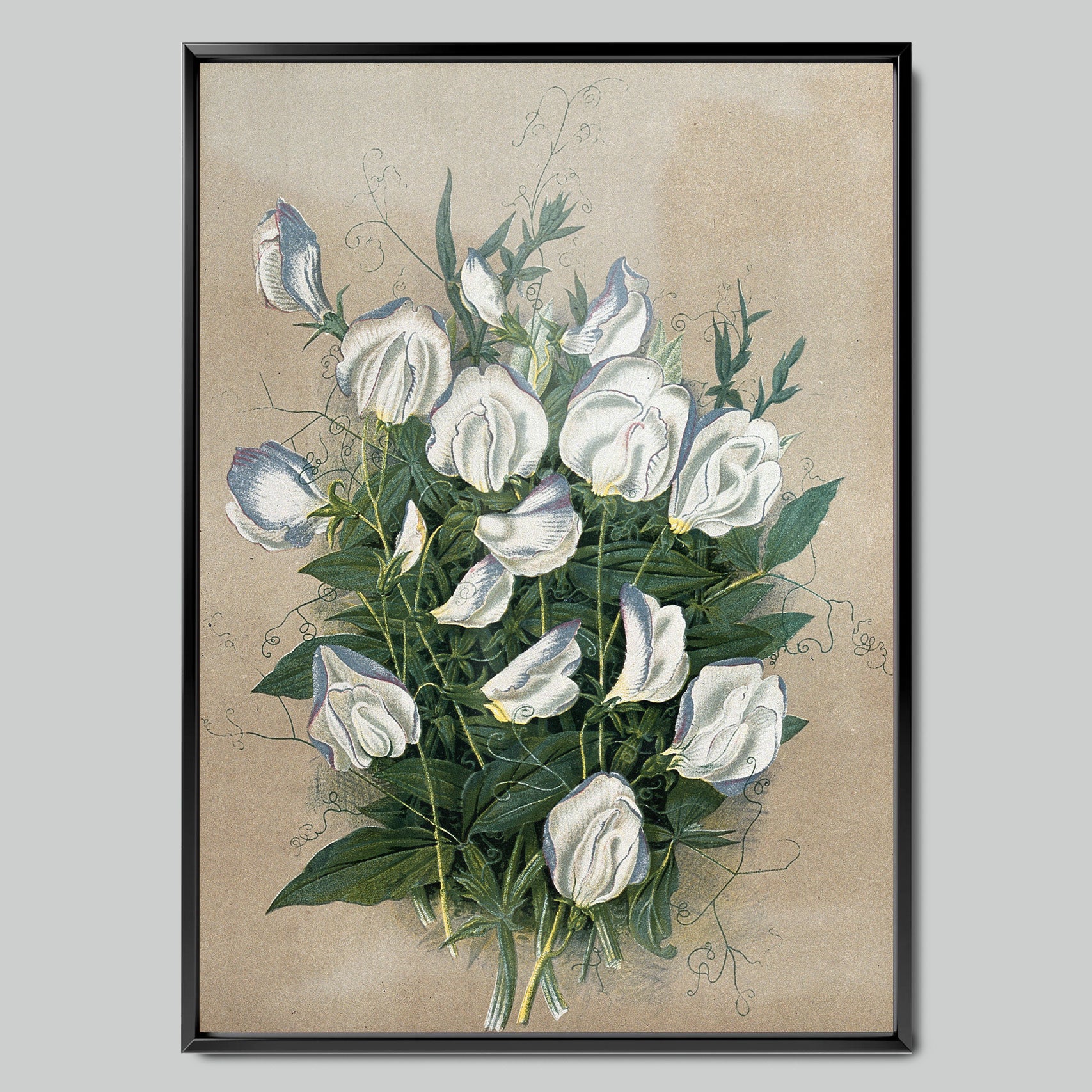 Watercolor Bouquet of White Flowers