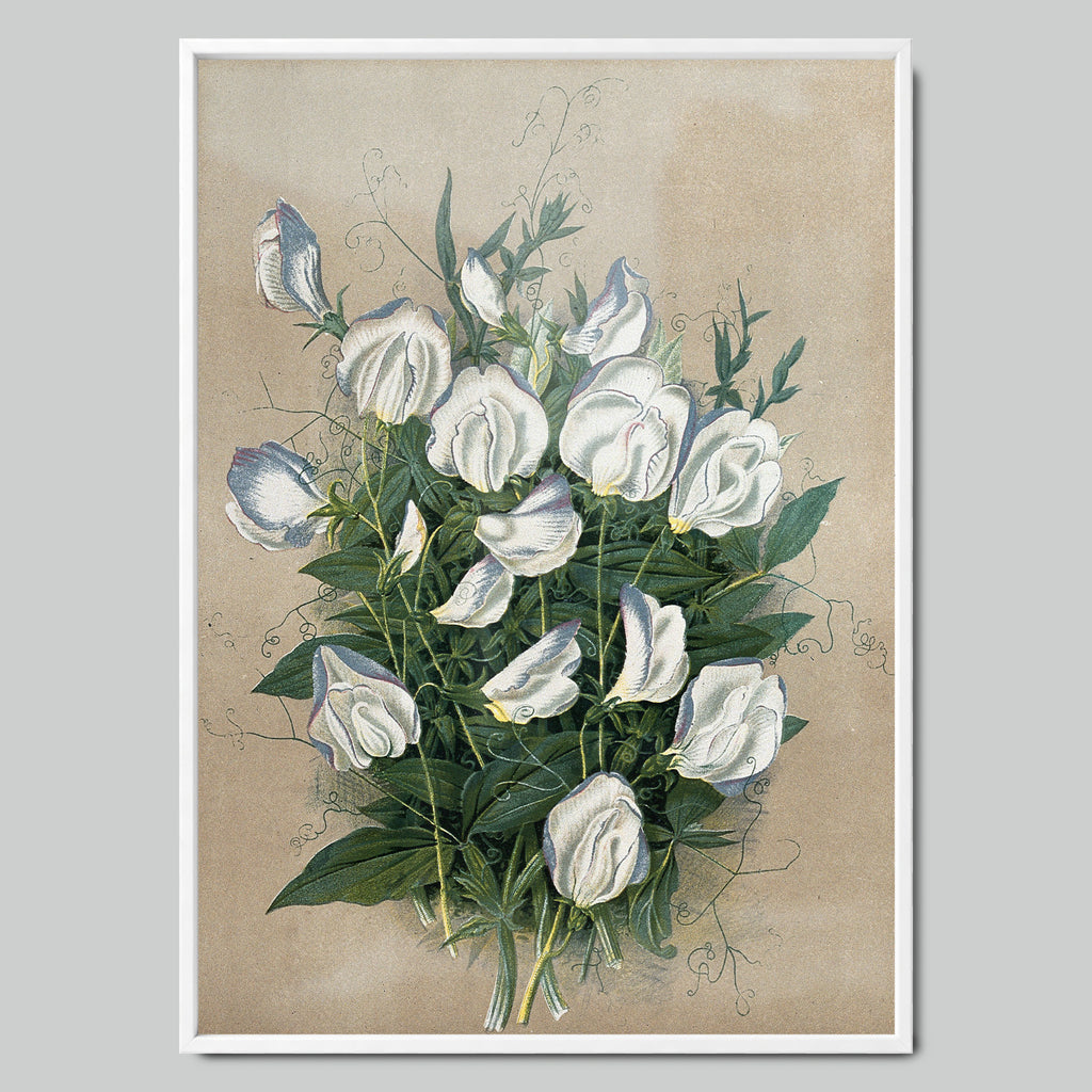 Watercolor Bouquet of White Flowers