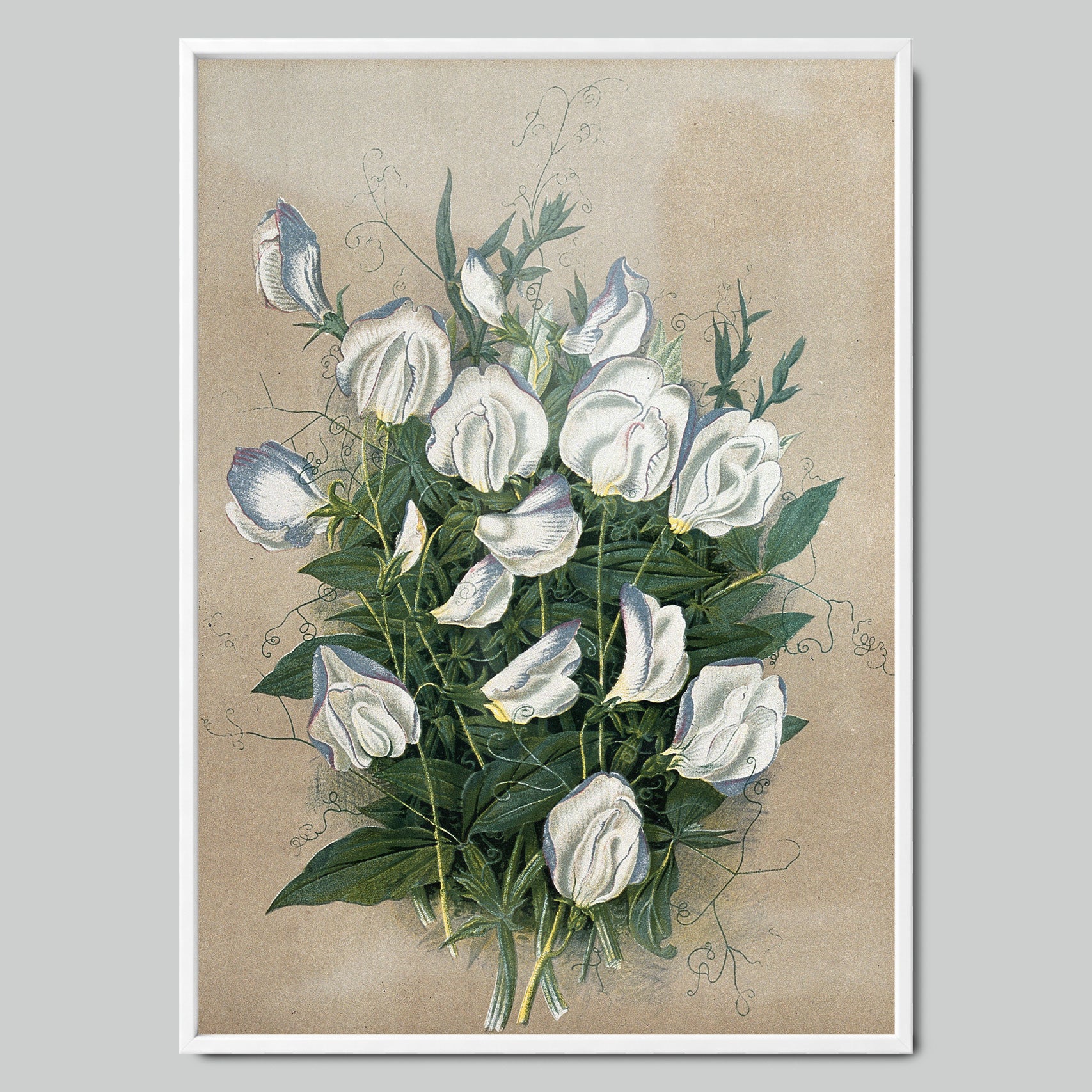 Watercolor Bouquet of White Flowers