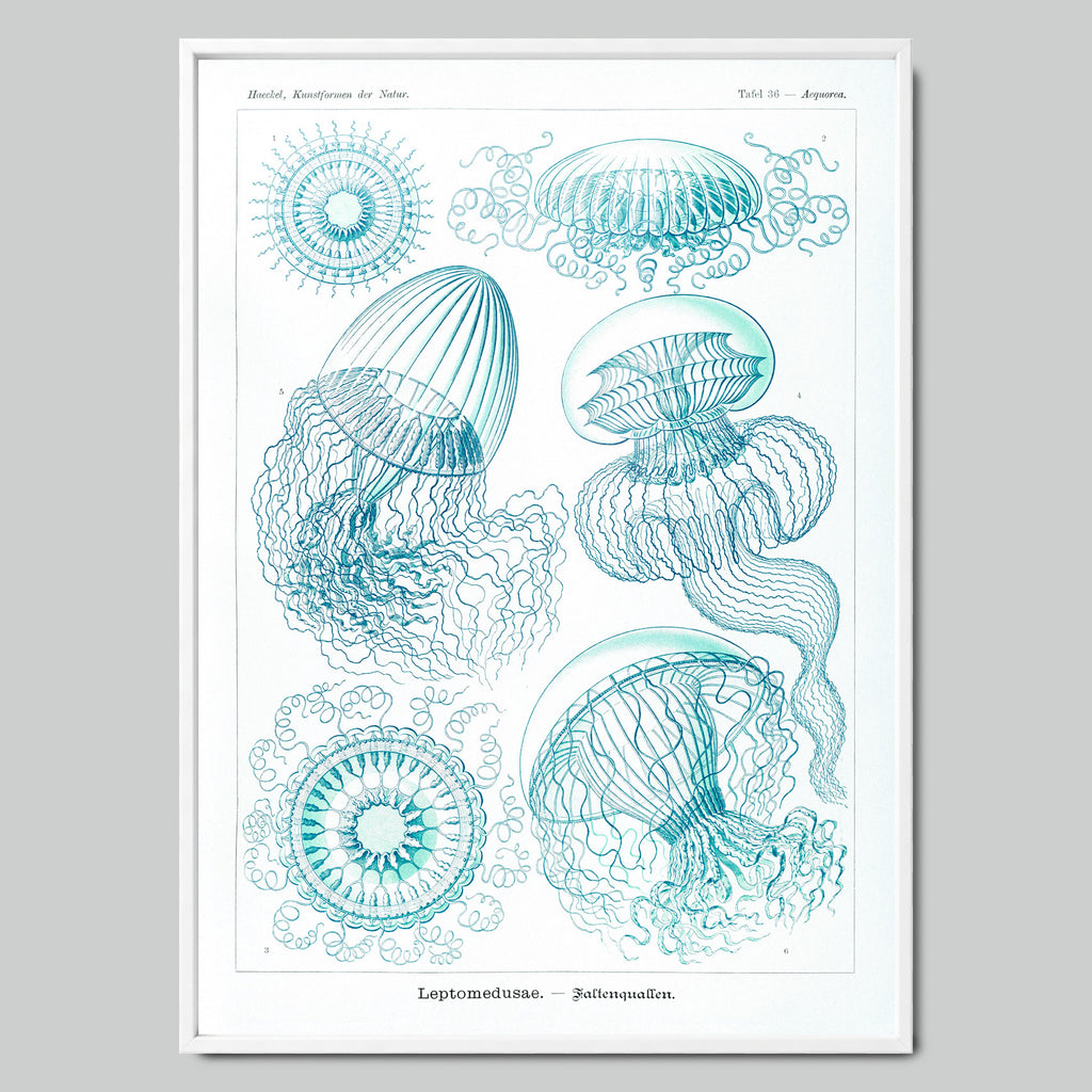 Marine Symphony with Jellyfish