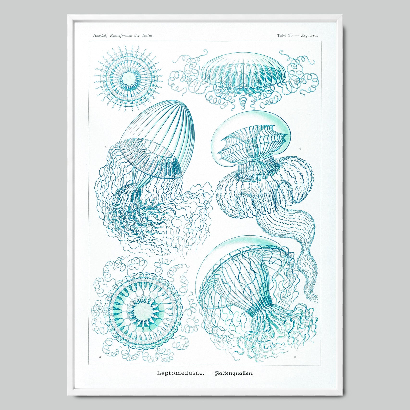 Marine Symphony with Jellyfish