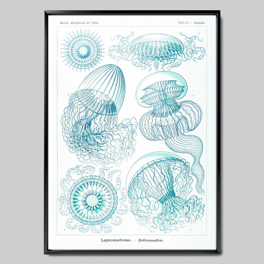 Marine Symphony with Jellyfish