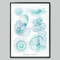 Marine Symphony with Jellyfish