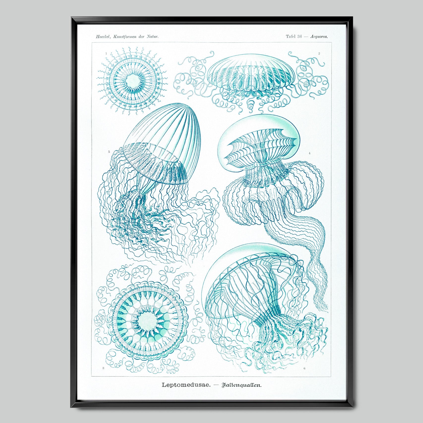 Marine Symphony with Jellyfish