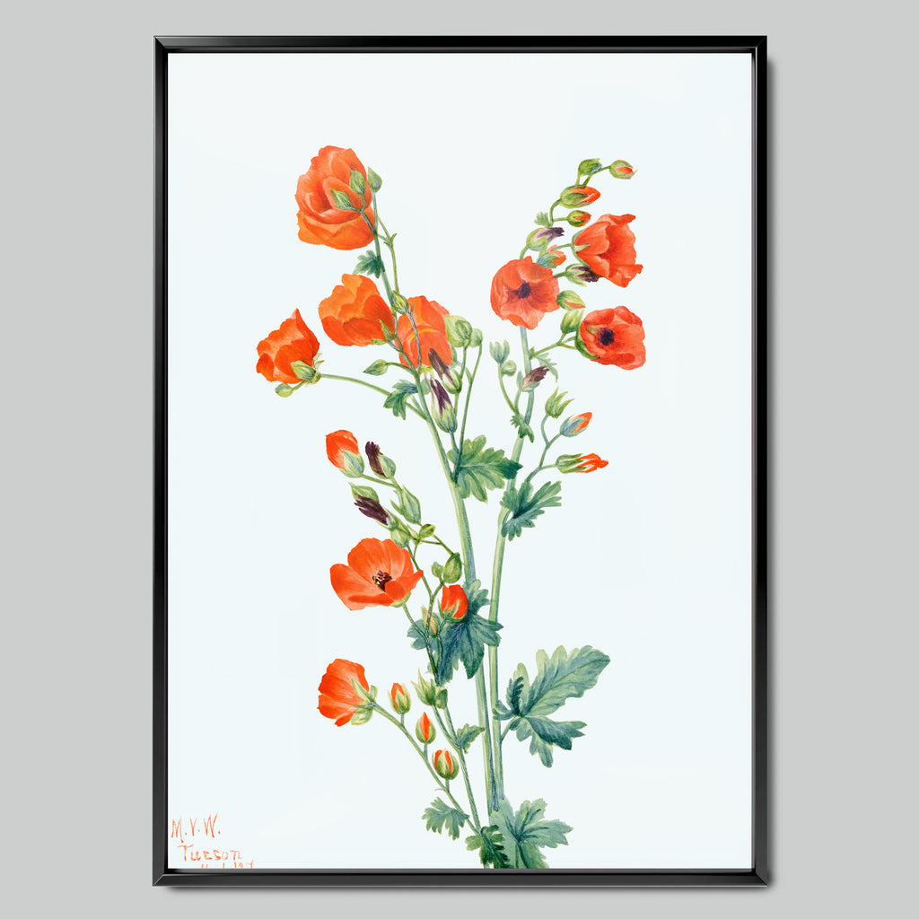 Bright Orange Poppies
