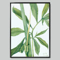 Botanical Sketch of Green Leaves