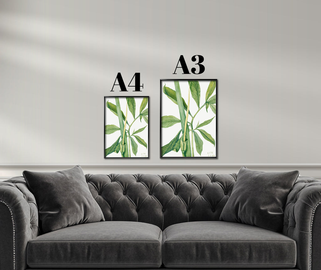 Botanical Sketch of Green Leaves