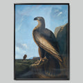 Proud Golden Eagle