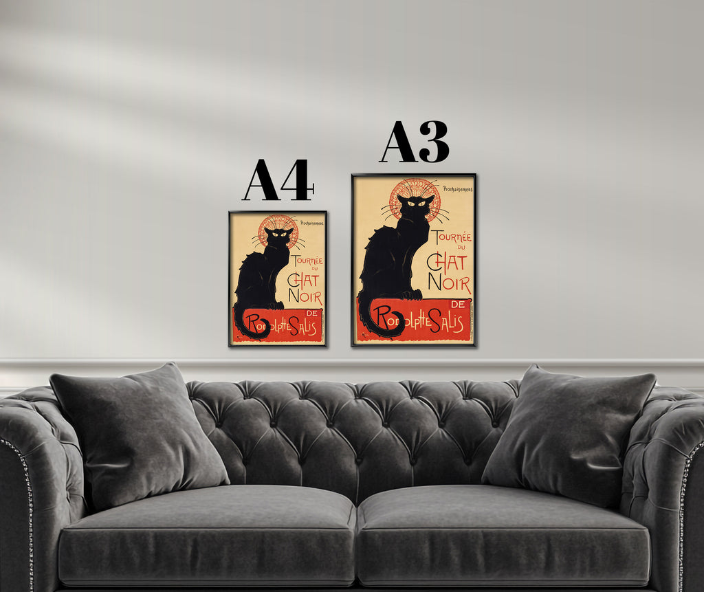 The Black Cat (Le Chat Noir)