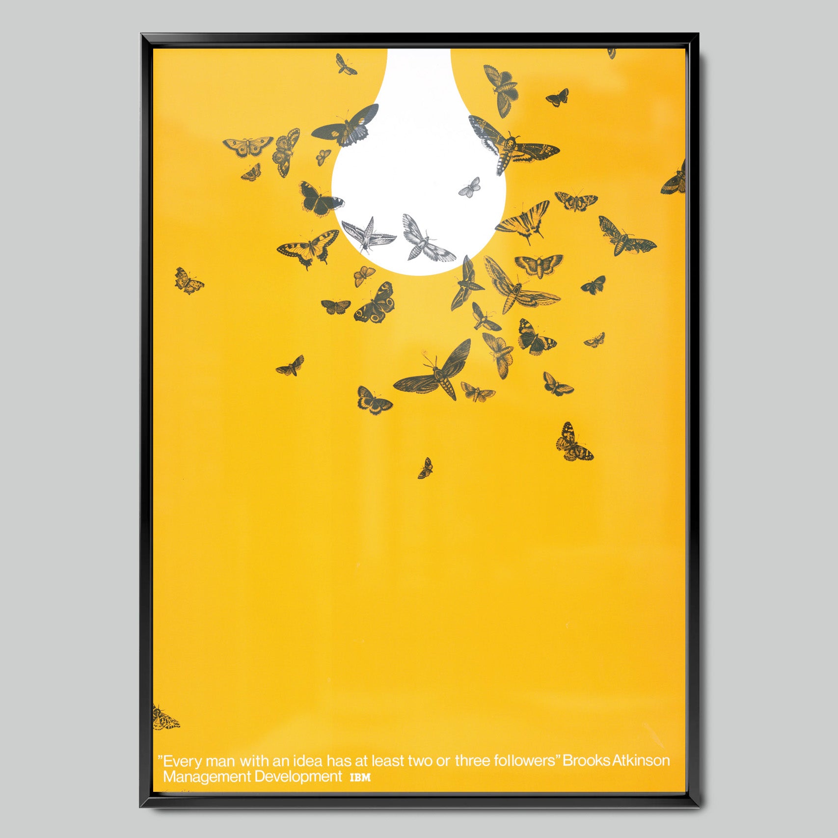 Butterflies on a Yellow Background