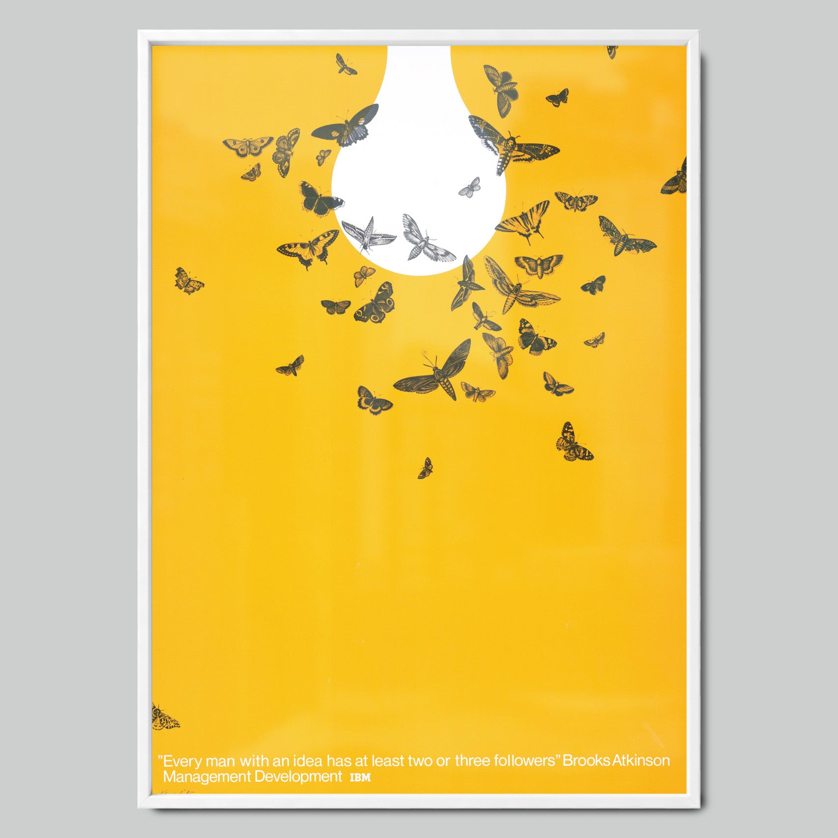 Butterflies on a Yellow Background