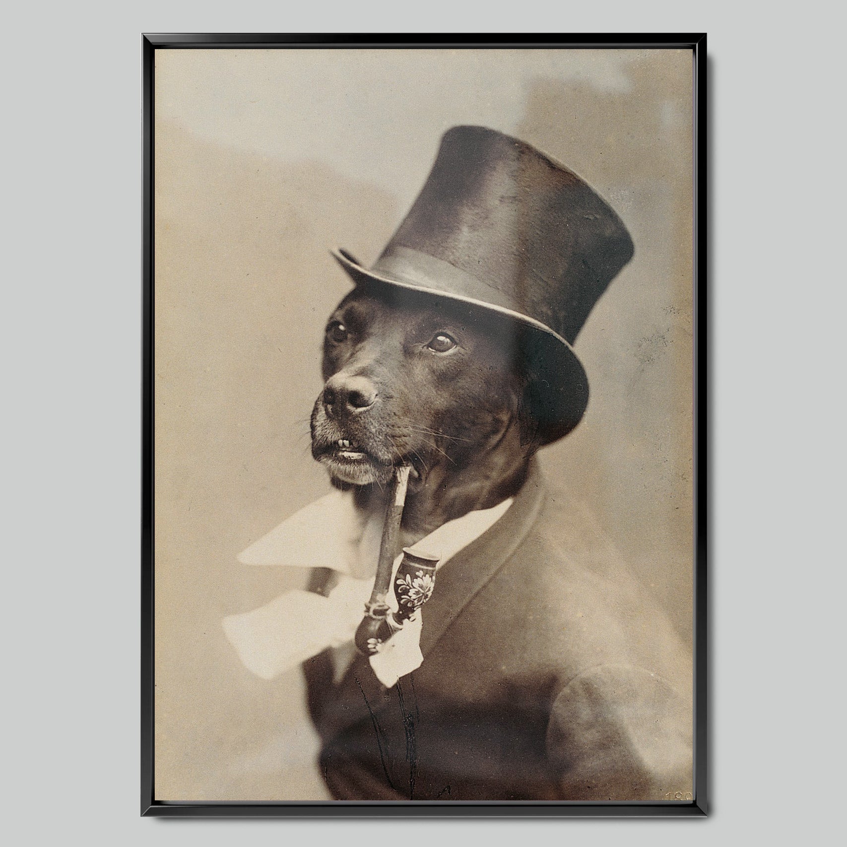 The Aristocratic Dog