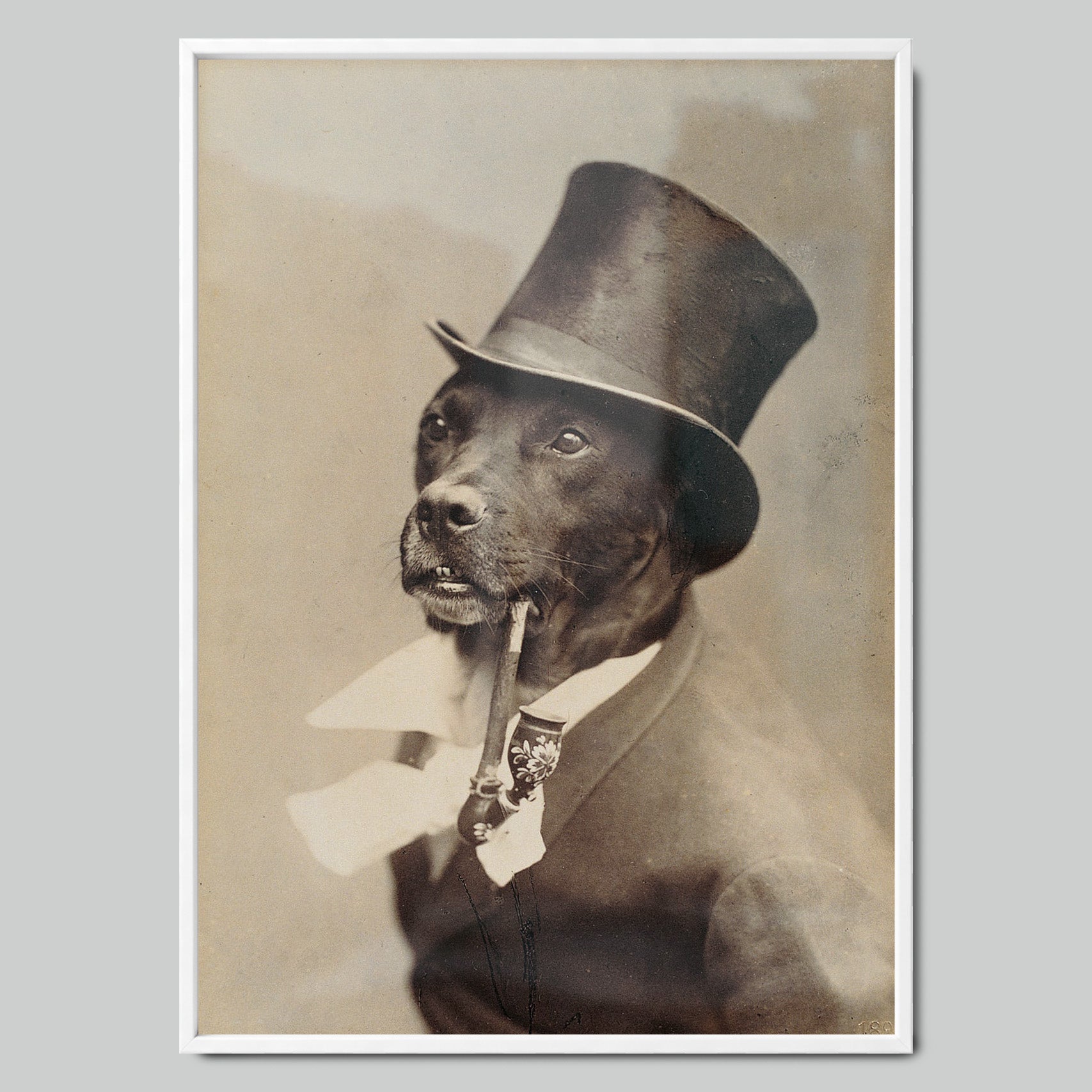 The Aristocratic Dog