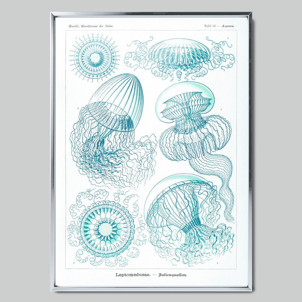 Marine Symphony with Jellyfish арт постер със сребриста рамка