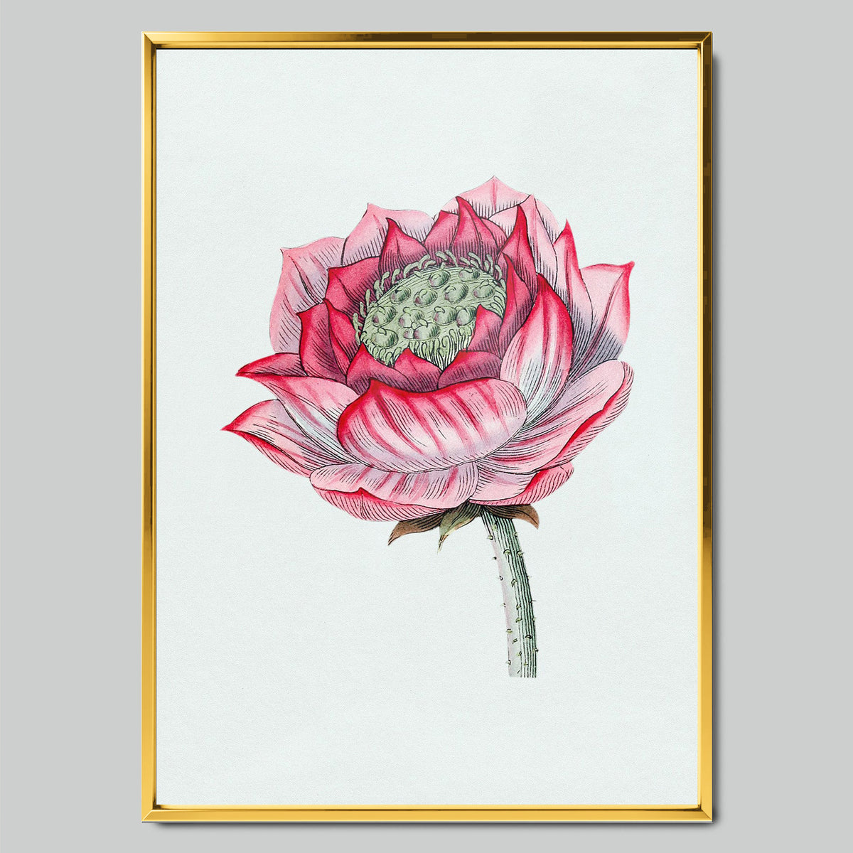 Pink Lotus in Detail арт постер със златиста рамка
