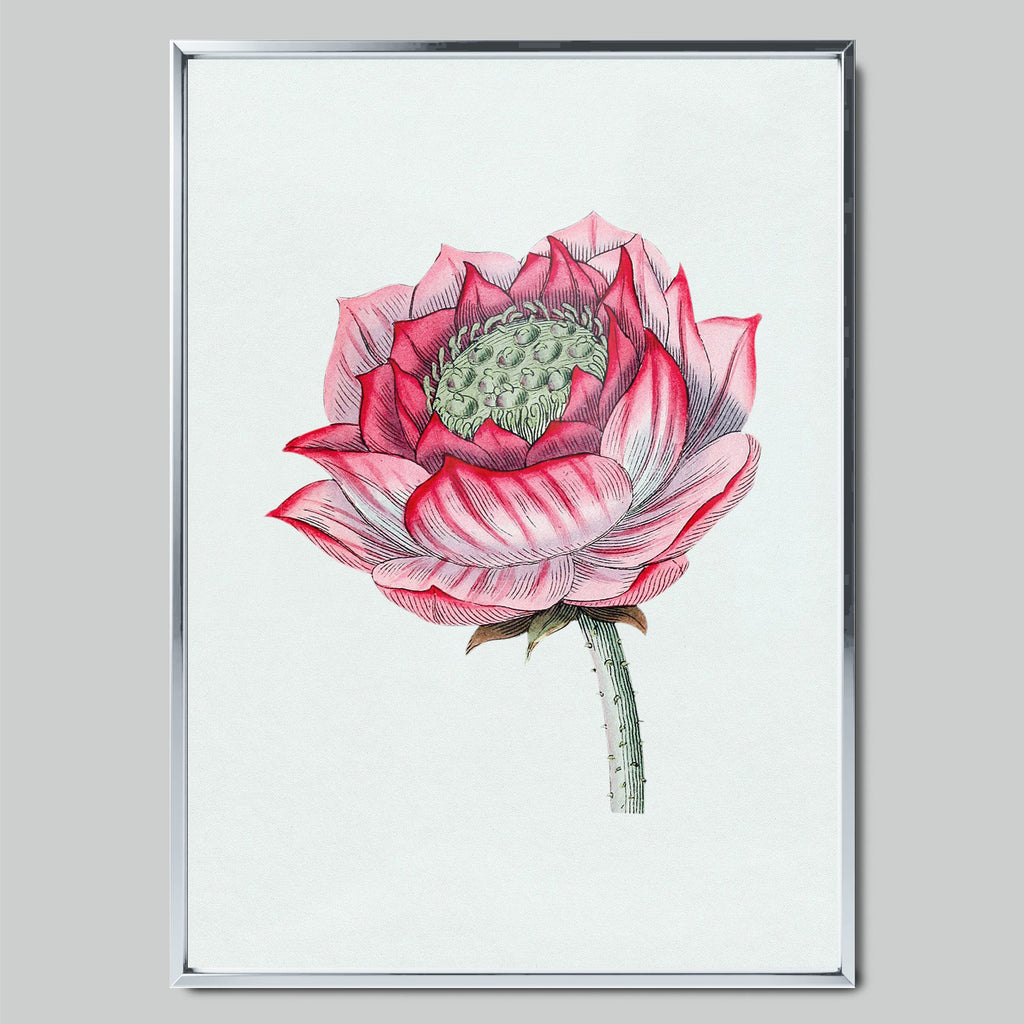 Pink Lotus in Detail арт постер със сребриста рамка