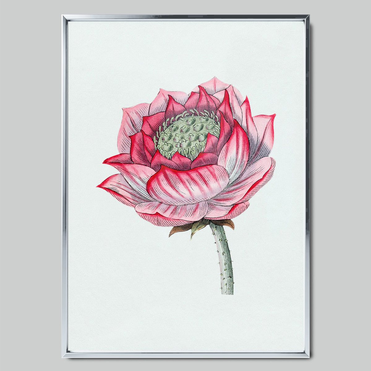 Pink Lotus in Detail арт постер със сребриста рамка